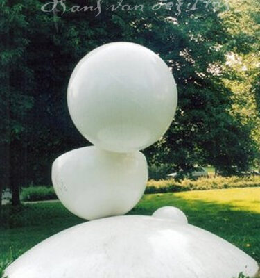 hans-van-der-plas-der-witte-bollen